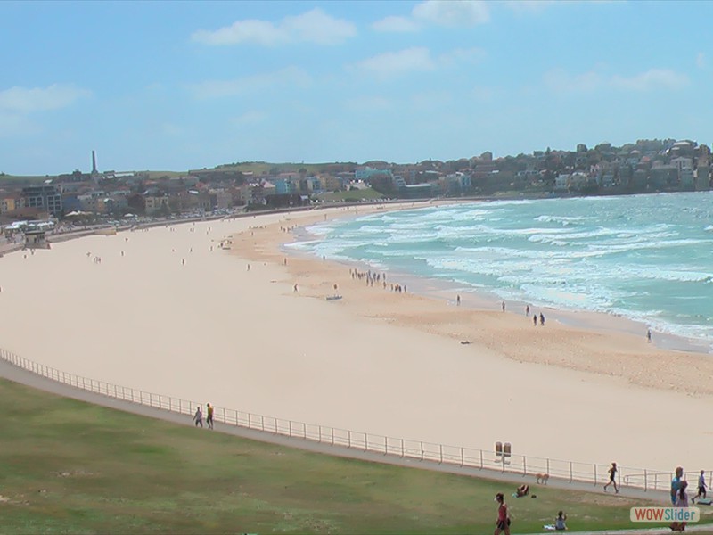 Bondi Beach 