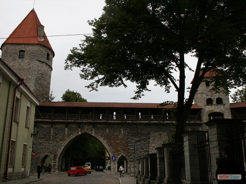 Unusual Pointed Archway - Tallin