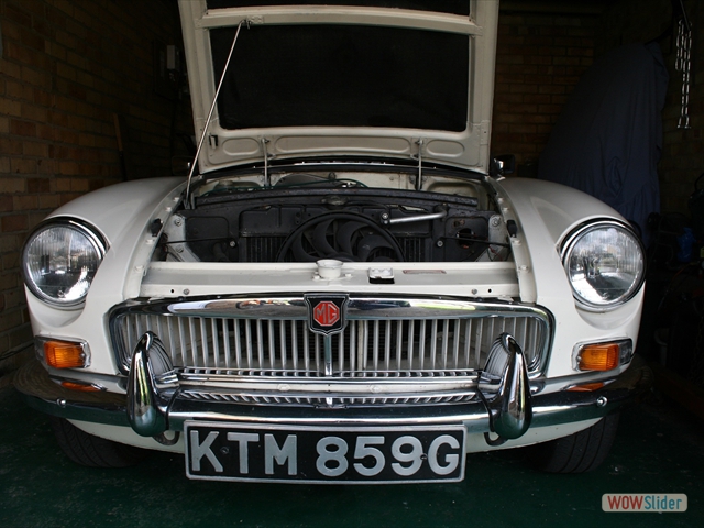 Front View