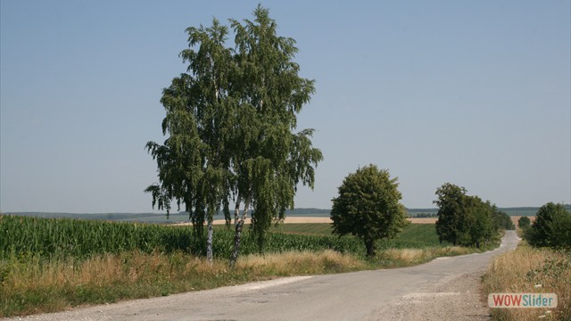 Ukraine Country Road