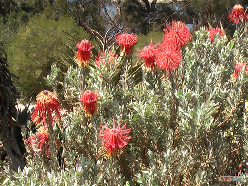 Rocket Pincushion